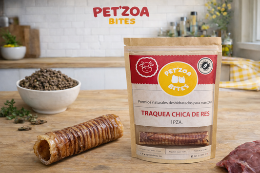 Traquea chica de res - 1pza