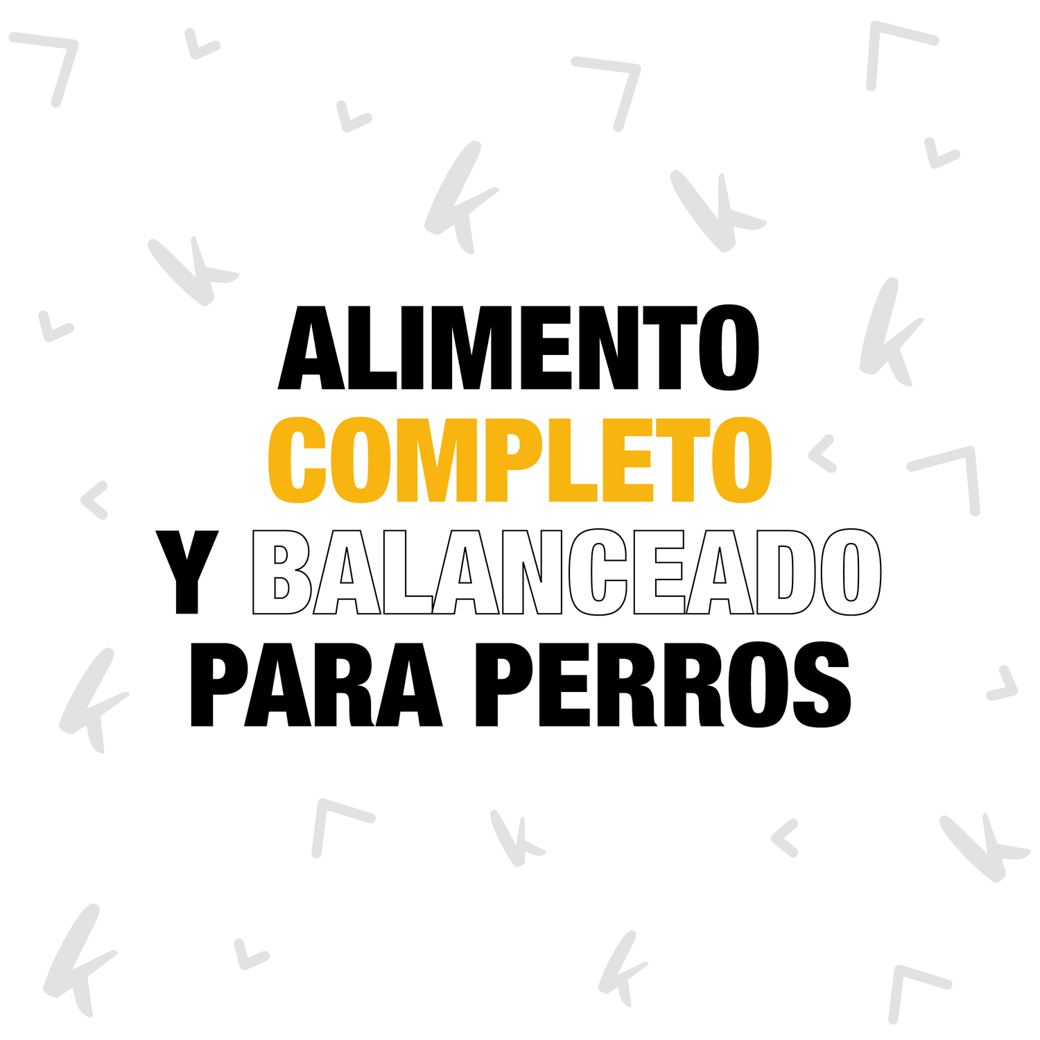 ALIMENTO COMPLETO Y BALANCEADO PARA PERROS