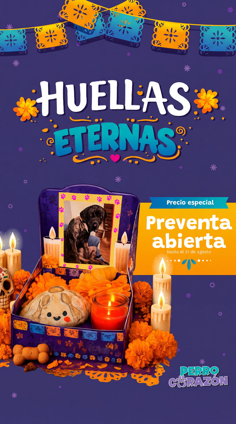 Promo 1
