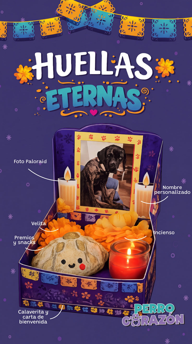 Promo 2