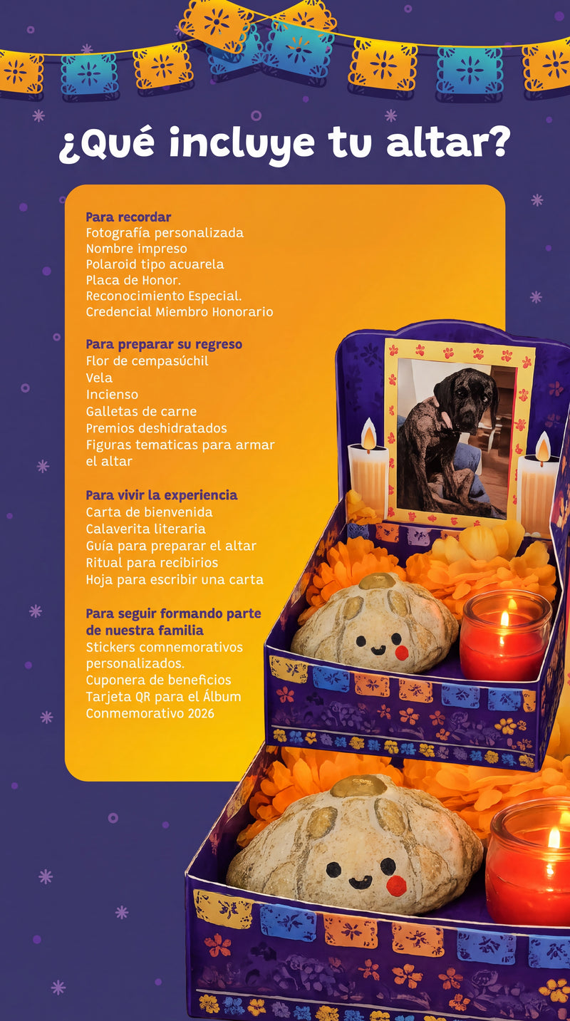 Promo 3