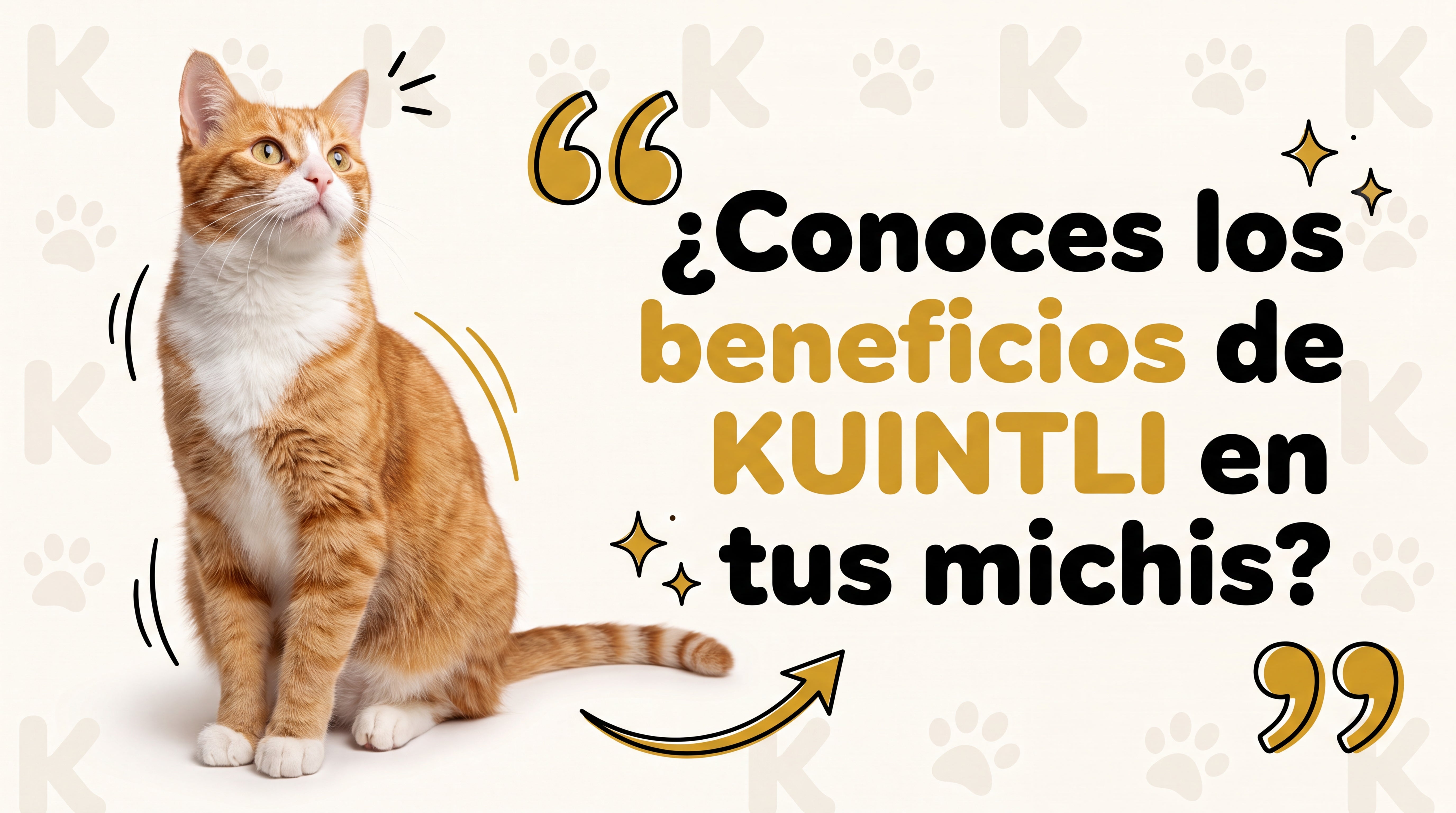 Banner Kuintli
