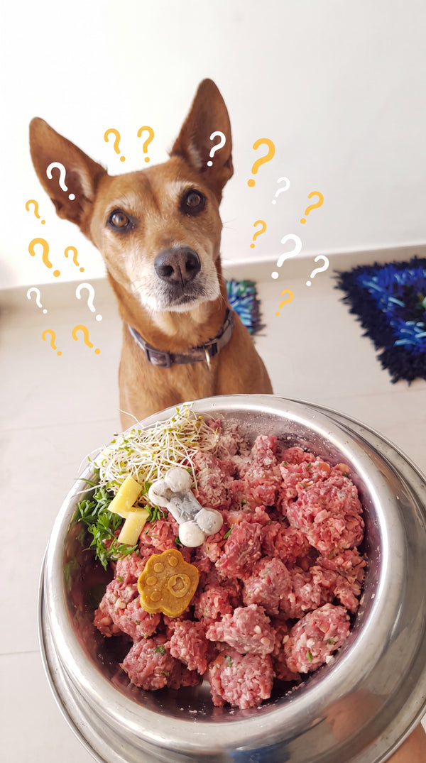 FAQ Kuintli