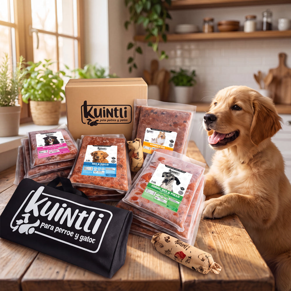 Promo Kuintli