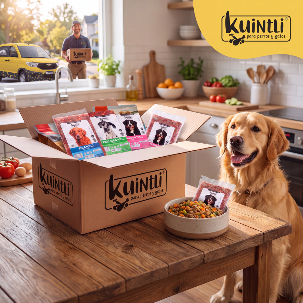 Promo Kuintli