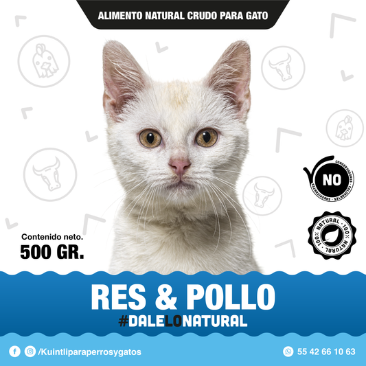 Res & pollo/ 500gr para gato.