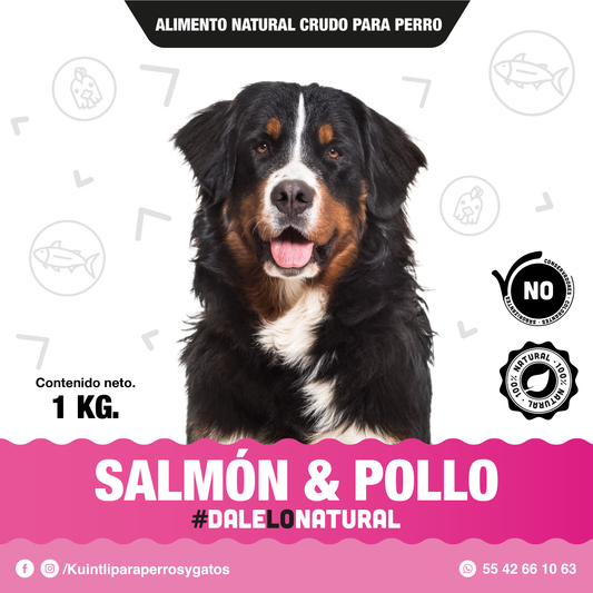 Salmon & pollo / 1kg.