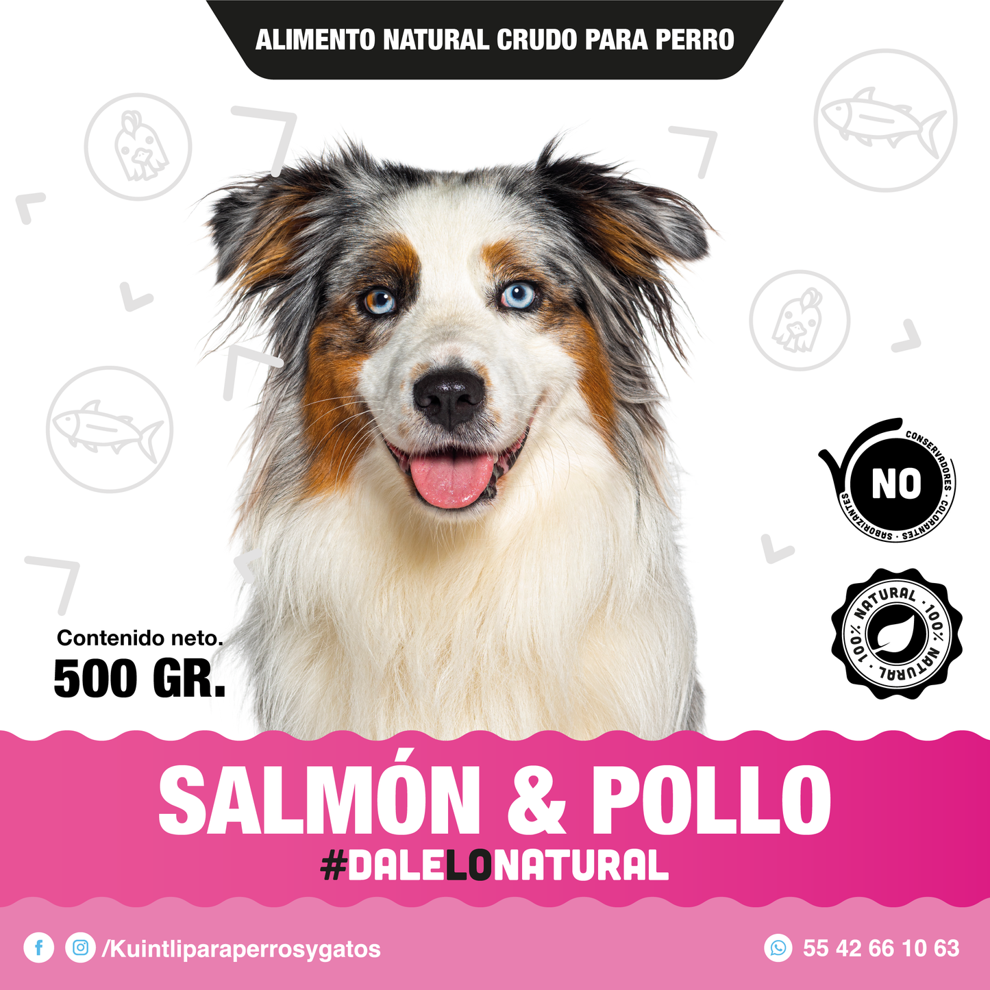 Salmon & pollo / 500 GR