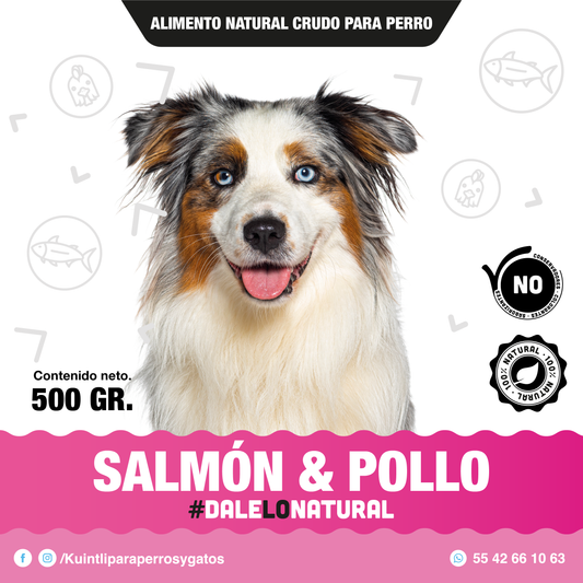 Salmon & pollo / 500 GR