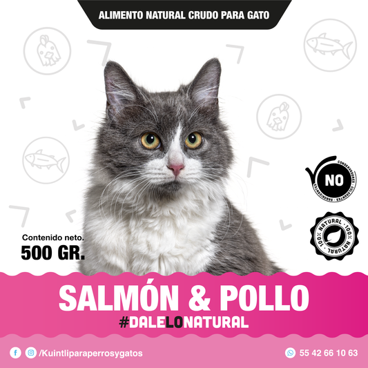 Salmon & pollo / 500 gr para gato.