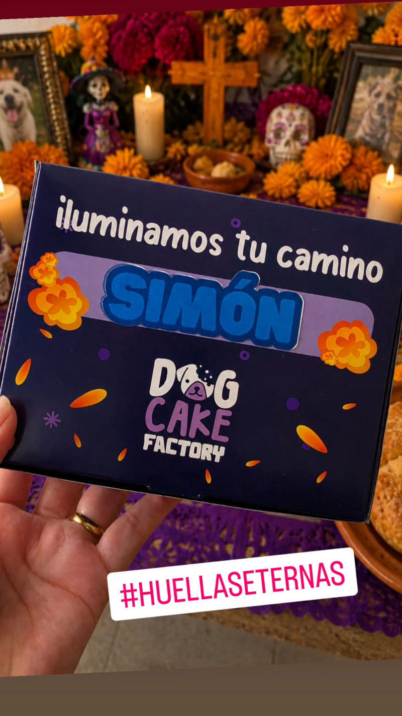 Promo 4