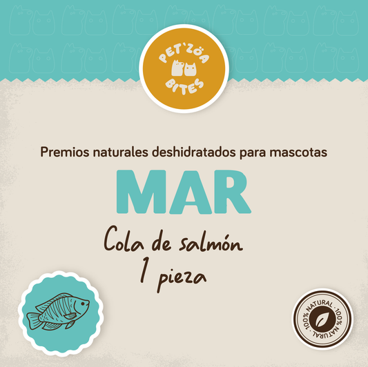 Cola de Salmon / 1pza