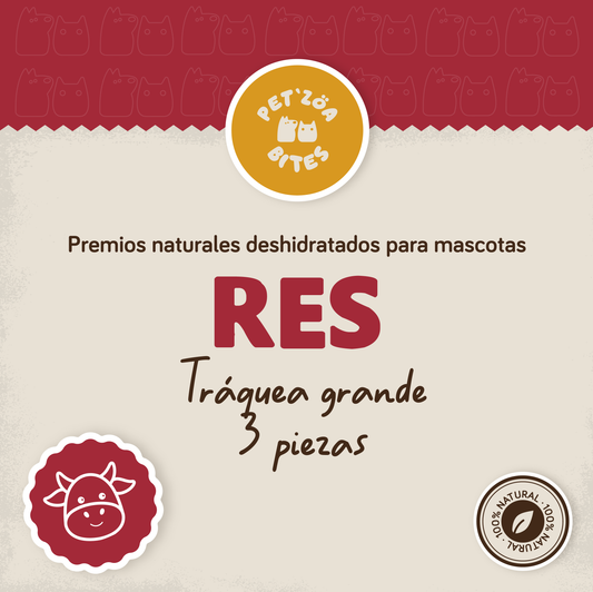 Traquea grande de res - 3pzas