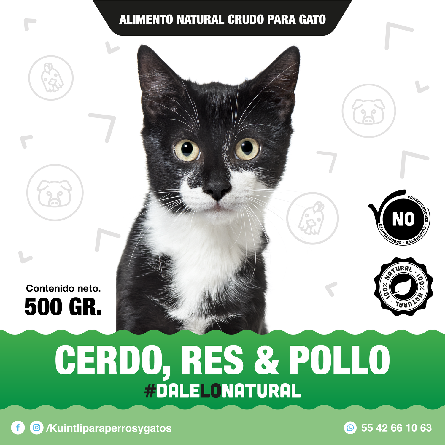 ALIMENTO COMPLETO GATO