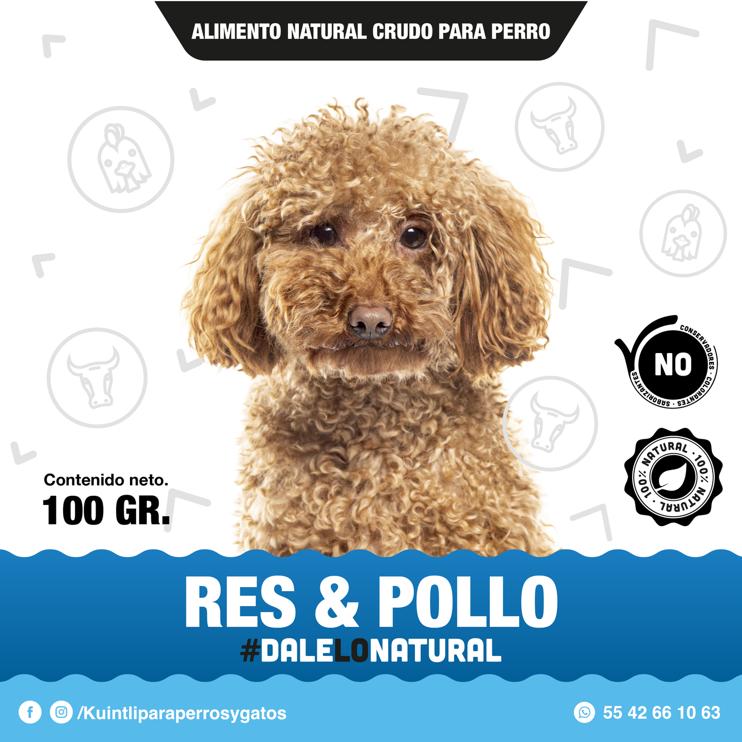 Pack 10/100gr - Res & pollo