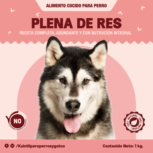 Plena de res - PACK 10KG (10bolsas de 1kg)
