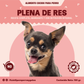 Plena de res - PACK 1KG (10bolsas de 100gr)
